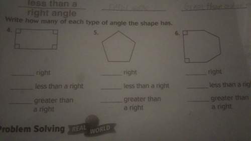 Write how many of each type of angle the shape has