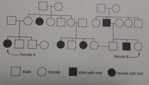 Is female a, homozygous or also how do i find it out. ty : 3