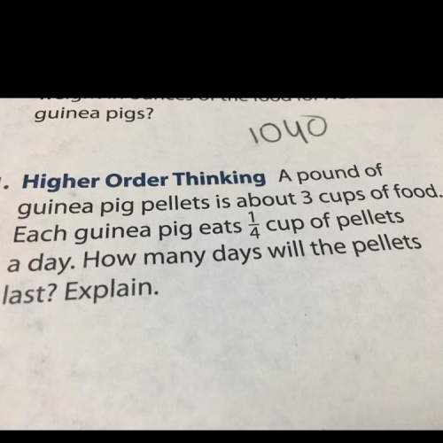 Apound of guinea pig pellets is about 3 cups of food.each guinea pig eats 1/4 cup is pellets a day.