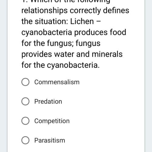 Which of the following relationships correctly defines the situation: lichen – cyanobacteria produc