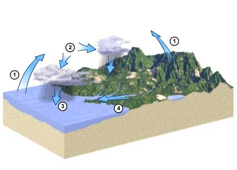 Water that is heated by the sun turns into water vapor. look at the hydrologic cycle diagram.&lt;