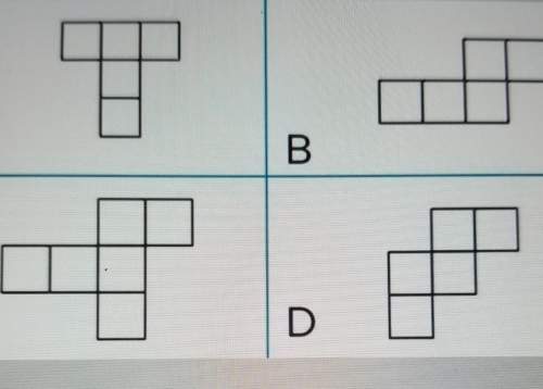 Choose which of these is the net of a cube