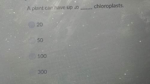 Aplant can have up chloroplasts