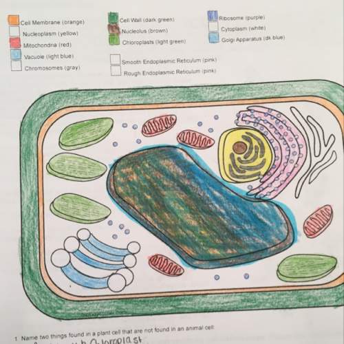 Idk what things in plant cell are which. the directions are to color the objects in the cell accordi