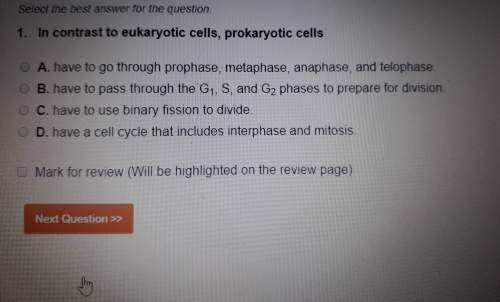 In contrast to eukaryotic cells, prokaryotic cells