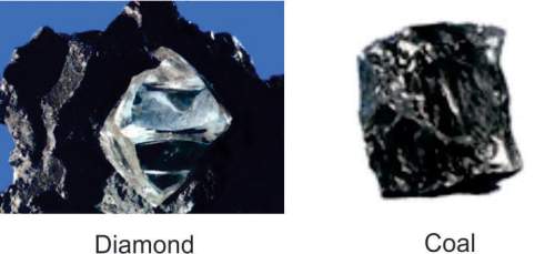 (look at the minerals in the linked picture) both diamond and coal are formed by changes in pr