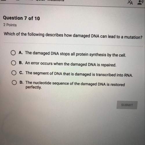 Which of the following describes how damaged dna can lead to a mutation?