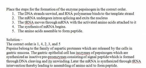 Place the steps tor the formation of the enzyme pepsinogen in correct order