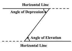 From the top of a tree a bird looks down on a field mouse at an angle of depression of 50°. if the f