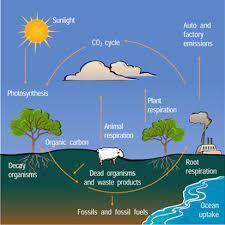 Which of these processes has a cooling effect on earth?  a. as snow and ice melt, the underlying sur