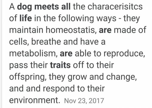 How does a dog meet all the characteristics of life