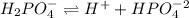 H_2PO_4^-\rightleftharpoons H^++HPO_4^-^2