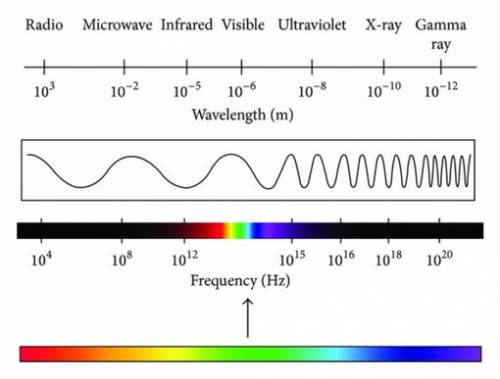 How are the different types of electromagnetic waves organized?