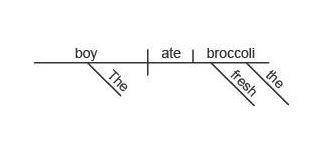 Ihave 5 min hurry   read the sentence. the boy ate the fresh broccoli. which sentence diagram correc