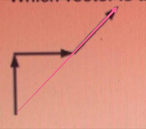 Which vector is the sum of the vectors shown below?