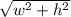 \sqrt{w^{2}+h^{2}  }