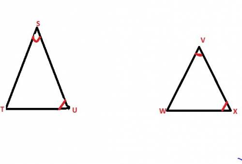 Triangle stu is dilated to form new triangle vwx. if angle s is congruent to angle v, what other inf