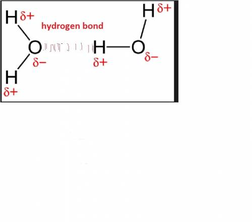 Hydrogen bonding occurs in molecules when a  (1 point) hydrogen atom forms a covalent bond with one