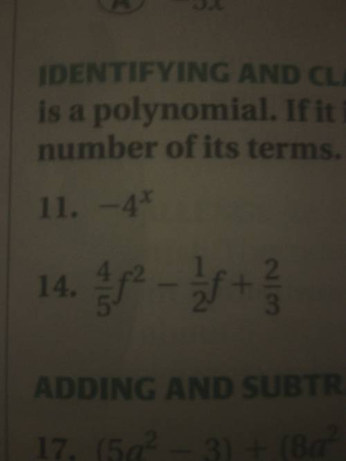 #11. is it a polynomial