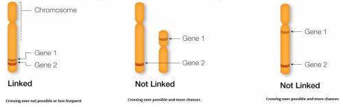 Which of the following statements is true of linkage?  a.  the closer two genes are on a chromosome,