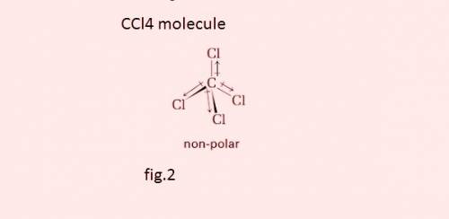 Which of the following molecules or ions is polar?  (20 points)