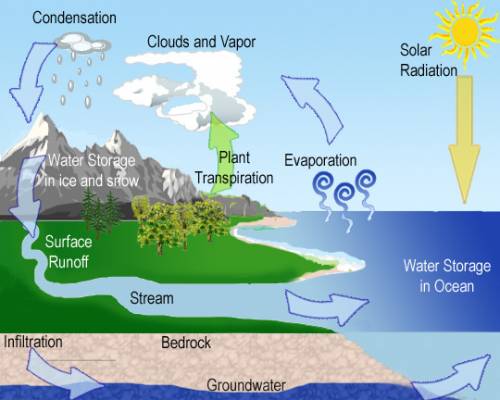 What is the groundwater cycle and what happens at each point in the process.