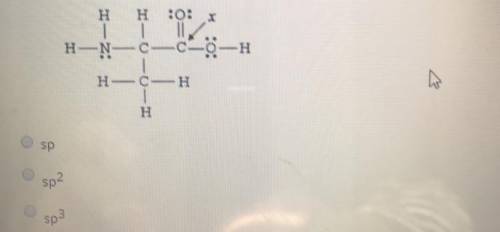 The hybridization of the carbon atom labeled x in the molecule below is