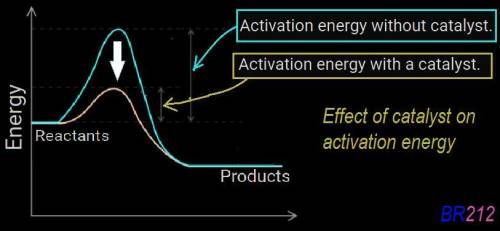 Which statement best describes the relationship between activation energy and rate of reaction?  a.