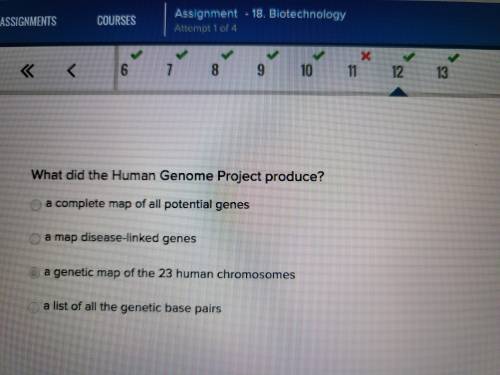 What do the human genome project produce