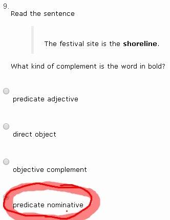 The festival site is the shoreline. what kind of complement is the word in bold?  predicate nominati