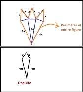Three congruent kites are placed together edge-to-edge as shown. the bottom edge is 4x and the top e