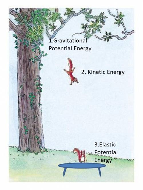 Energy can transform between different types. for each of the following examples, identify two energ