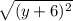 \sqrt{(y+6)^{2}}