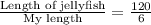 \frac{\text{Length of jellyfish}}{\text{My length}}=\frac{120}{6}