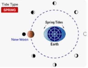 During which phase of the moon do spring tides typically occur?  waxing moon quarter moon full moon