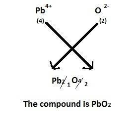What is the formula unit for a compound made from pb4+ and oxygen?   mark brainliest