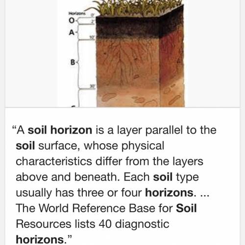 What are the descriptions of soil horizons?