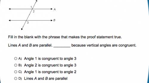 Please help with Paragraph proofs