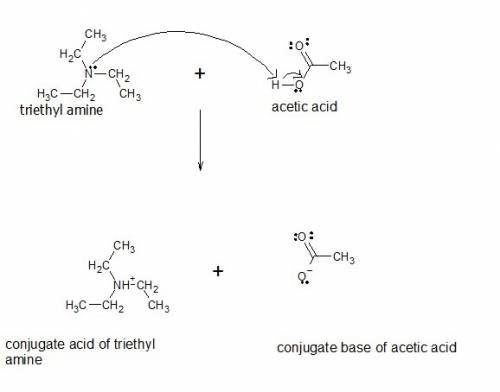 Write an equation that shows the reaction between acetic acid (ch3cooh) and triethylamine (ch3ch2)3n