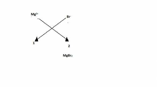What is the chemical formula of magnesium bromide? a. mgbr2b. mgbrc. mg2br2d. mg2brthe answer is let