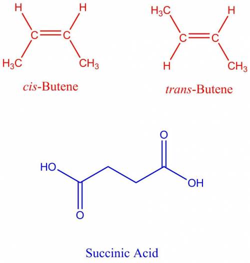 Why are cis and trans isomers of succinic acid impossible?