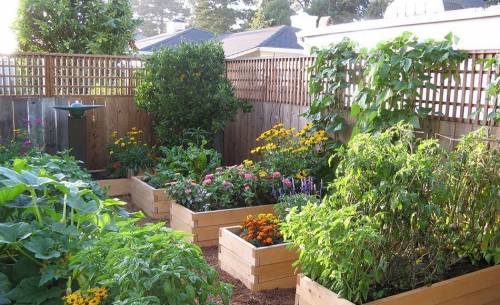 Important advantages to raised-bed gardens are that they conserve water and keep the soil moist cons