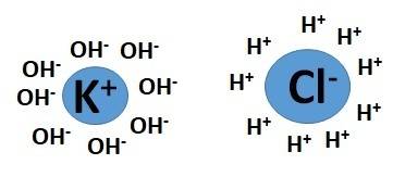 Draw the hydration shells that form around a potassium ion and a chloride ion when potassium chlorid