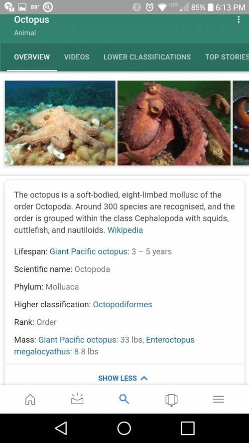 !how does the pacific northwest tree octopus differ from octopi found in the ocean?