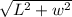 \sqrt{L^{2}+ w^{2}  }