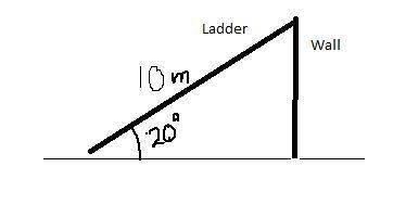 A10 meter ladder is inclined against a wall at an angle of elevation of 20°. if the top of the ladde