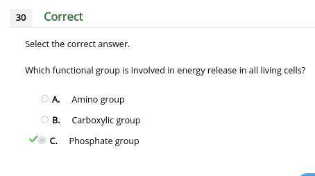 Which functional group is involved in energy release in all living cells?  a. amino group b. carboxy