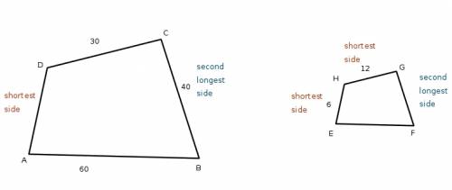 Quadrilateral abcd is similiar to quadrilateral efgh. the lengths of the three longest sides in quad