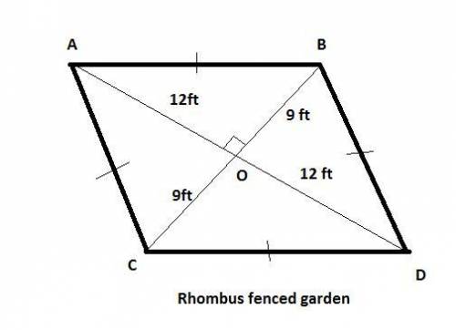 Timothy has a fenced-in garden in the shape of a rhombus. the length of the longer diagonal is 24 fe