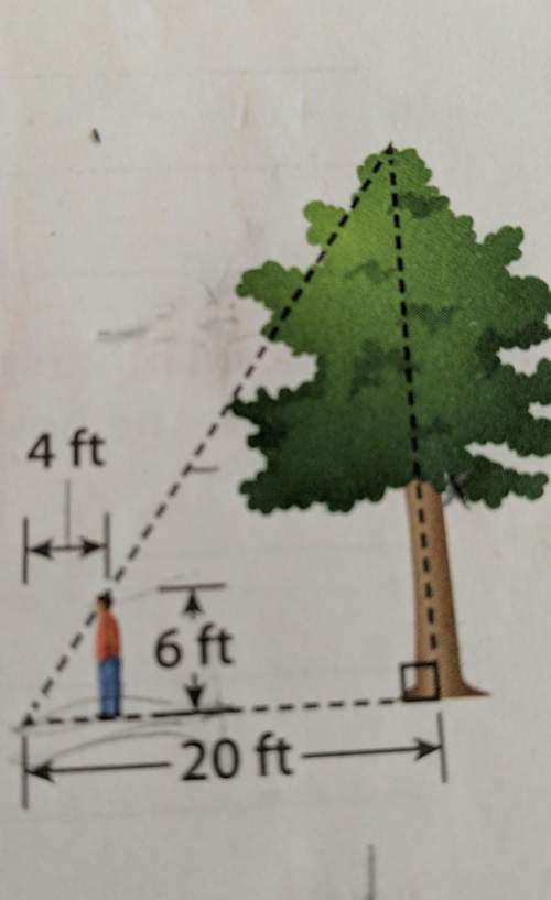 Atree casts a shadow that is 20 feet long. frank is 6 feet tall,and while standing next to the